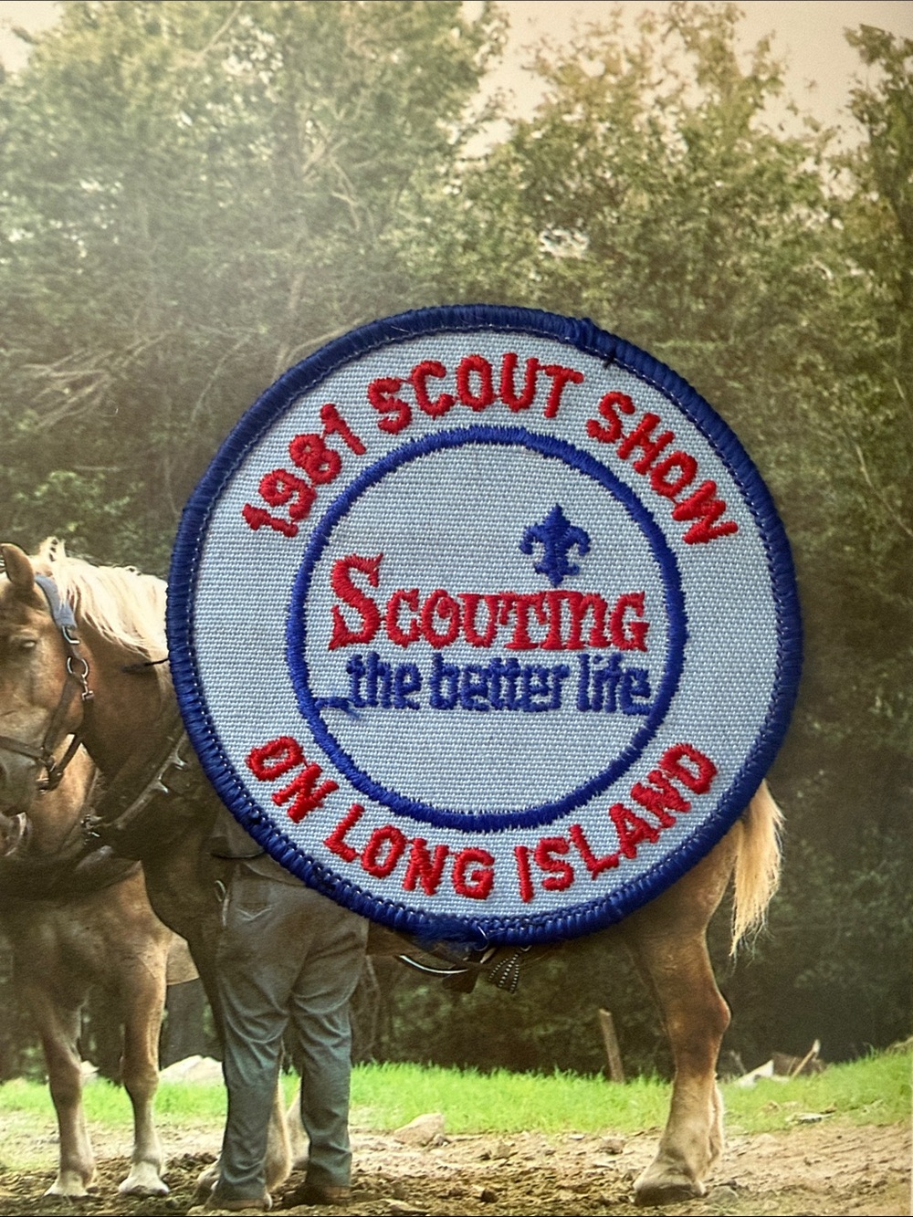 Scouting 1981 Scout Show Long Island Commemorative Patch - Blue/Red